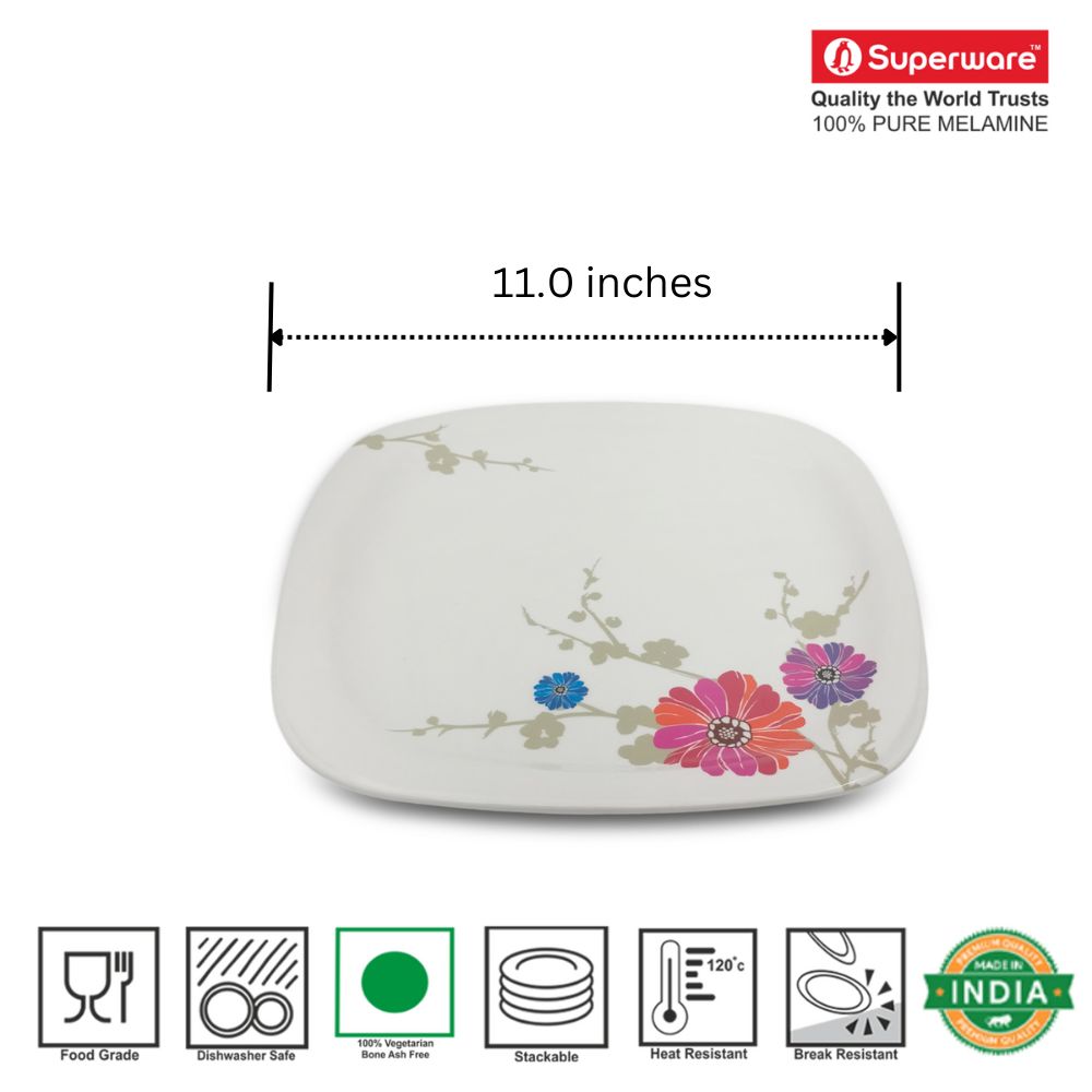 SUPERWARE | Pure Melamine | Dinner Plate Set – Barbeto Daisy (11.0") | 6 Nos. | Stain Free, Glazed Finish