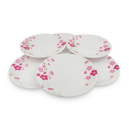 SUPERWARE, Plate Set - PINK AURA | 6 Nos.